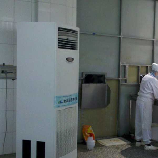 新疆食品正负离子空气杀菌器